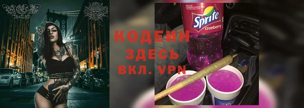 apvp Верея